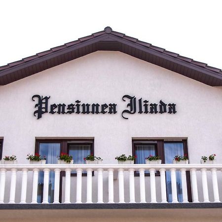 Pensiunea Iliada سيبيو المظهر الخارجي الصورة